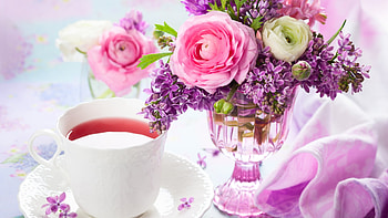 Bring back spring, nature, flowers, roses, lilac HD wallpaper