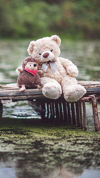 Teddy Bear Ka, River, Nature Background, nature, background HD phone wallpaper