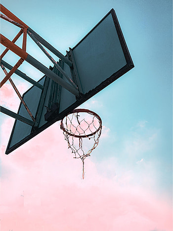 Miscellanea, Miscellaneous, Shield, Grid, Basketball Hoop, Basketball Ring HD phone wallpaper