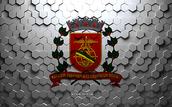 Flag of Santos, honeycomb art, Santos hexagons flag, Santos 3d hexagons art, Santos flag HD wallpaper