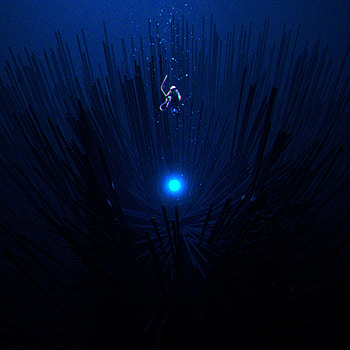 Dark, Shine, Brilliance, Space, Levitation, Scuba Diver HD phone wallpaper