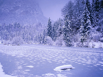 Winter frozen lake, winter, pine tree, white, wood, frozen, lake, mountain HD wallpaper