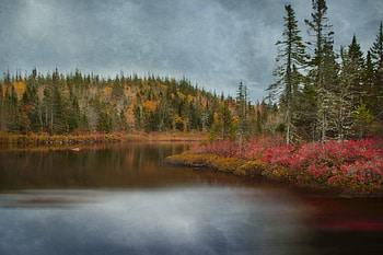 Landscape, Nature, Trees, Autumn, Lake, Forest HD wallpaper