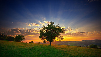 Amazing Sunrise, landscape, fields, colors, clouds, trees, sky HD wallpaper