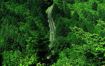 Landscape, Roads HD wallpaper