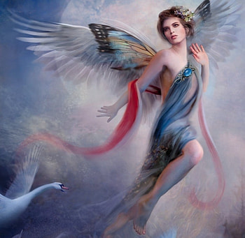 Leda, blue, wings, white, art, bird, bente schlick, fantasy, luminos, swan, pasari HD wallpaper