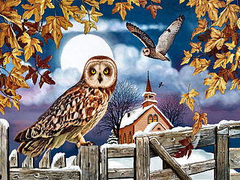 Owl in the Churchyard F2Cmp, animal, bird, art, beautiful, raptor, owl, avian, artwork, wide screen, wildlife, painting HD wallpaper