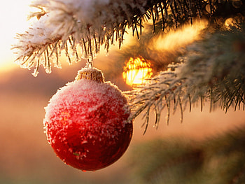 Holidays, New Year, Christmas, Xmas HD wallpaper