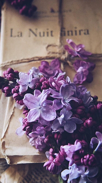Flowers Aesthetic, Purple HD phone wallpaper