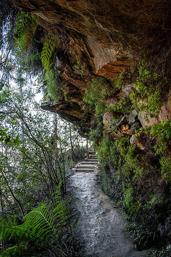 Nature, Rocks, Fern, Stone, Stairs, Ladder HD phone wallpaper