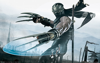 Ninja Gaiden, sword, mask, ninja, fury, blade, smash, kill, samurai, battle, claw, gaiden, assassin HD wallpaper