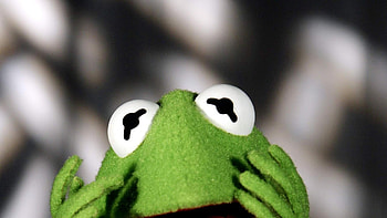 Kermit the Frog , Muppet Show nostalgia, delight, Loveable character HD wallpaper