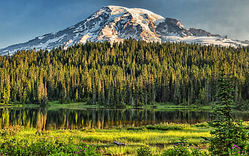 mountain, forest, mountain lake, green trees, mountain landscape, evening, sunset, mountains HD wallpaper