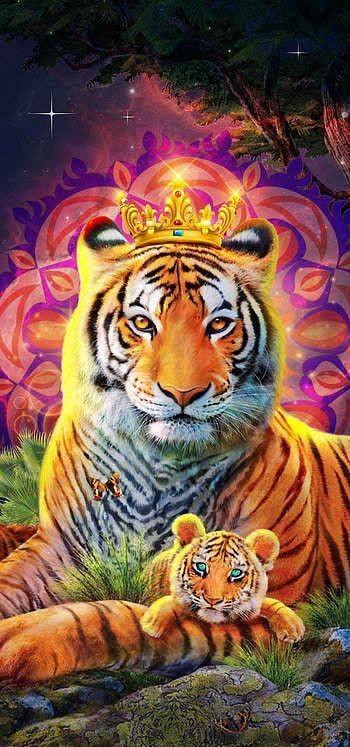 Tiger, animal HD phone wallpaper