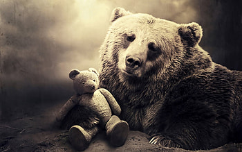 Animals, Muzzle, Bear, Toy, Shadow, Bw, Chb, Sepia HD wallpaper