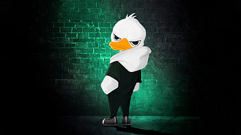 Street Duck, duck, cartoons, artist, artwork, digital-art HD wallpaper