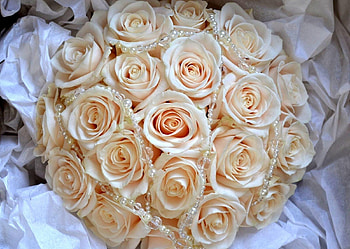 Flowers, Roses, Beads, Bouquet, Buds, Tenderness HD wallpaper