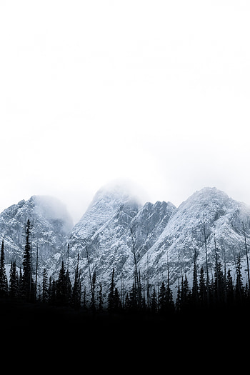 Landscape, Nature, Trees, Mountains, Clouds, Vertex, Tops HD phone wallpaper