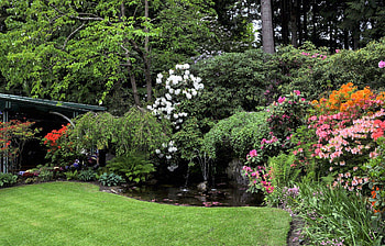 Nature, Flowers, Trees, Fountain, Garden, Lawn HD wallpaper