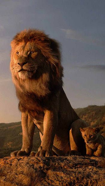 Lion, Noble beast, Captivating gaze, Graceful majesty HD phone wallpaper