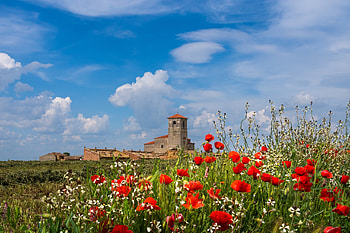 Landscape Spain, blue, spain, landscape, epana, summer, poppy, flower, green, spania, red, sky, castle, vara HD wallpaper