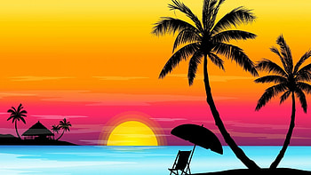 Palm tree , Beach vibes, Vacation destination, Paradise HD wallpaper