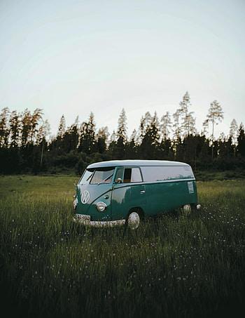 Grass, Volkswagen, Cars, Car, Field, Machine, Volkswagen T1 HD phone wallpaper