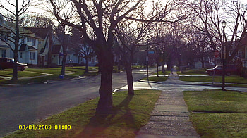 GREEN green grass, lawn, day, street, trees, grass HD wallpaper