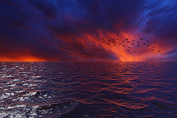Waves Sky Birds , waves, sky, birds, nature HD wallpaper