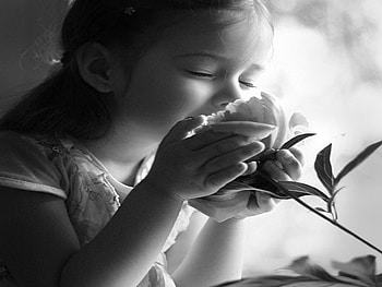 CUTE, gentle, lovely, honest HD wallpaper