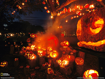Holidays, Halloween HD wallpaper