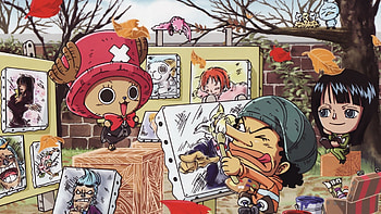 one piece, pirate, one, chopper, piece HD wallpaper
