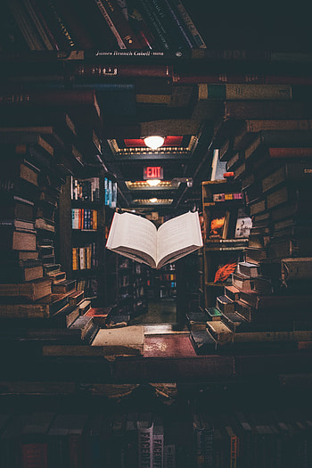 Books, library HD phone wallpaper