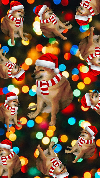 Cheems, navidad, meme HD phone wallpaper