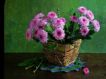 Still life, dtill life, beautiful, dark, nice, basket, pink, delicate, pretty, petals, flowers, lovely, harmony HD wallpaper
