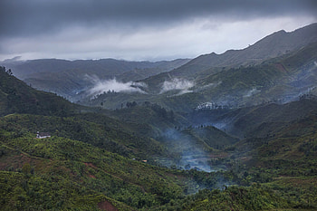 Biodiversity in Madagascar, Conservation Efforts, Environmental Guardians, Yves Rocher Foundation HD wallpaper