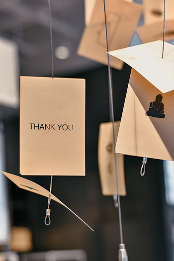 Words, Phrase, Inscription, Thank You HD phone wallpaper