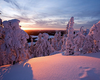 Winter Setting Sun, ford, desota, chimo, spitfire HD wallpaper
