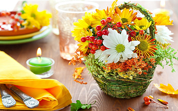 Colourful flowers, basket, flowers, green, yellow HD wallpaper