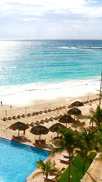 Playa del Carmen: Mexico, Snorkel, Caribbean, Cancun HD phone wallpaper