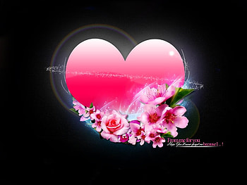 My heart only for you, you, heart, love, for HD wallpaper