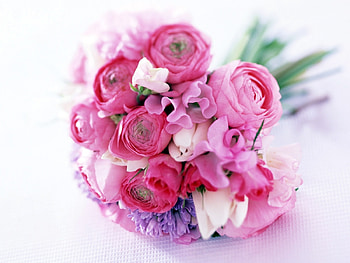 Plants, Holidays, Flowers, Bouquets, March 8, International Women's Day (Iwd) HD wallpaper