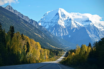 Stunning autumn scene with a road leading to a snow-capped mountain under a clear blue sky. HD wallpaper