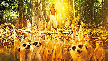 Life of Pi, Life of Pi tiger, Meerkat , Nature-inspired ry HD wallpaper