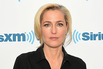 Gillian Anderson , Captivating visuals, Celebrity icon, quality HD wallpaper
