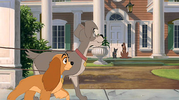 Lady and Tramp, Mickey mouse, Disney HD wallpaper