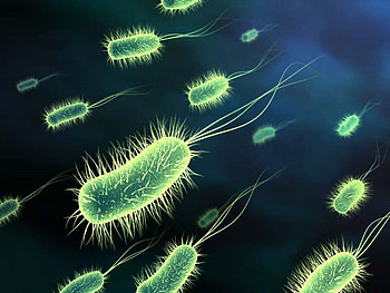 Bacteria, Artistic, Microbe HD wallpaper