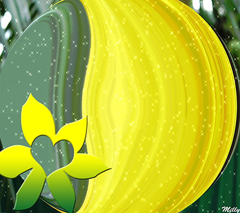 Abstract, bubble, green, yellow, flower HD wallpaper