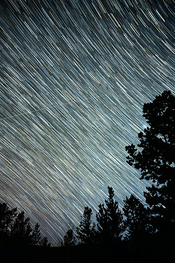 Nature, Trees, Silhouette, Starry Sky, Stripes, Streaks, Starfall HD phone wallpaper