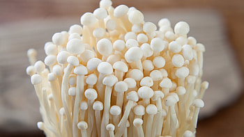 Archaeology of mushrooms, enoki chefs mandala HD wallpaper